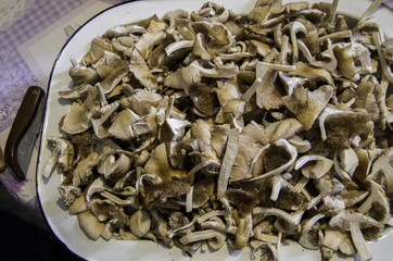 Gourmet ingredients: Wild mushrooms from the South of Spain