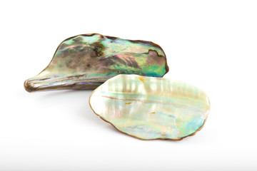 Shining mother of pearl on white background