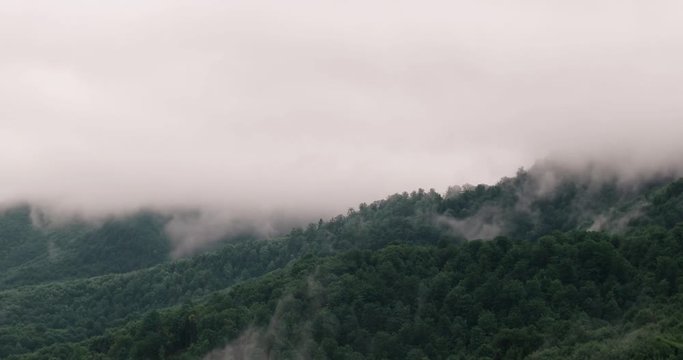 Timelapse of misty clouds on tree covered mountains.