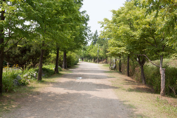 Walkway in the park; nobody; Korea.