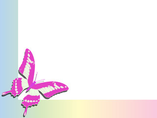 pink butterfly on the edge of the album sheet, a place to copy in a colorful frame