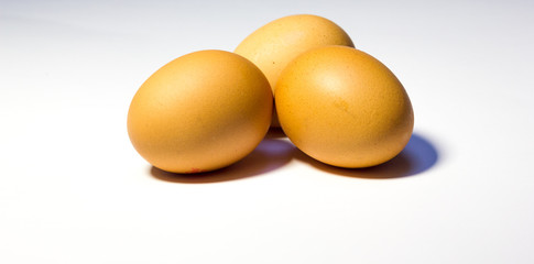 Eggs on a white background
