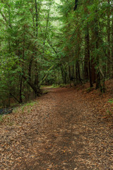 Diverse Beauty Graces the California Coast
