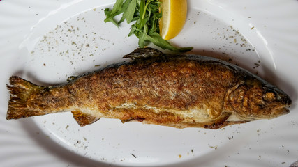 Slovenian fried fish