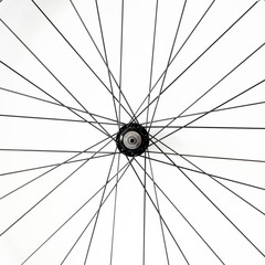 Black and alloy bicycle spokes isolated on white background