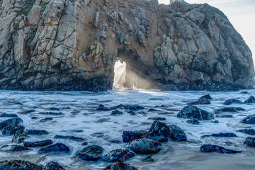 Diverse Beauty Graces the California Coast
