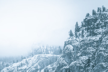 Side of snowy mountain and evergreen trees in winter surround by fog and clouds in monochrome