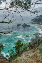 Diverse Beauty Graces the California Coast
