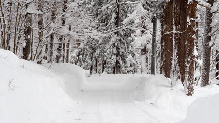 Japanese snow cover