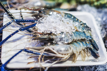 Seafood, located in night market of Chiang Mai, Thailand.