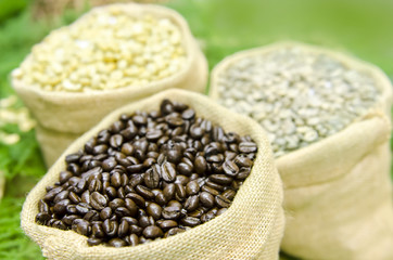 Coffee beans on wood background with soy beans