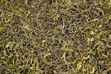 Dried green tea leaves isolated on wooden board background