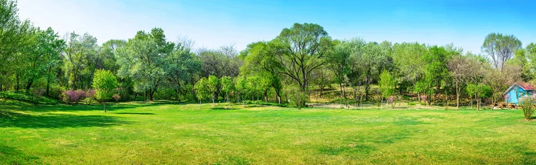 Fototapete Garten Parken Sie im Frühjahr. Das Hotel liegt im Botanischen Garten von Shenyang, Shenyang, Liaoning, China.