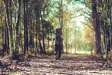 Photographer asian man Traveling photograph Nature. travel relax in the holiday walk in the forest. travel relax in the holiday.  Thailand
