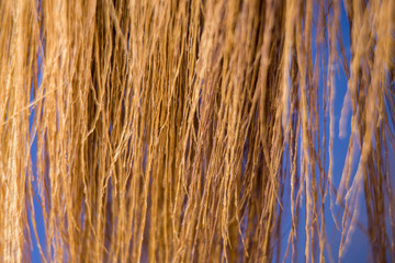 Broom on wooden floor