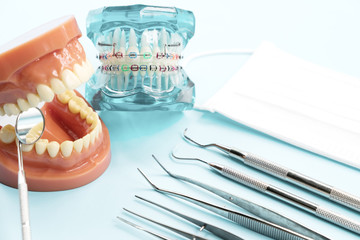 orthodontic model and dentist tool - demonstration teeth model of varities of orthodontic bracket or brace