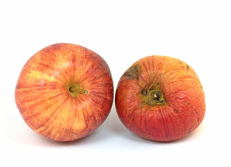 Frischer und verfaulter Apfel
