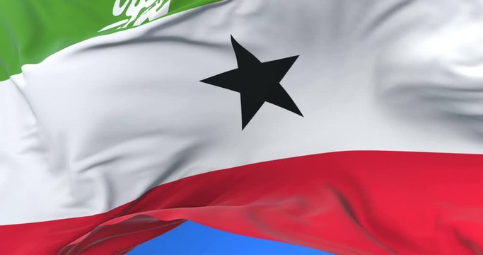 Somaliland flag waving at wind in slow in blue sky, loop
