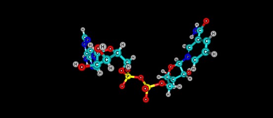Nicotinamide adenine dinucleotide molecular structure isolated on black