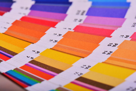 Color Palette Pantone Guide Close Up. Colorful Swatch Catalog