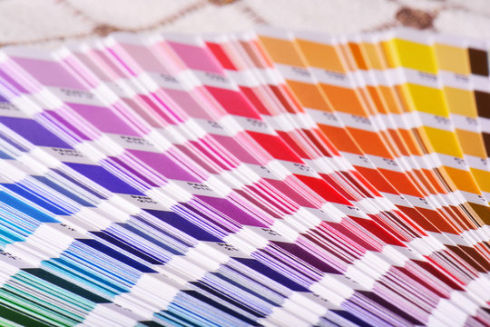 Color Palette Pantone Guide Close Up. Colorful Swatch Catalog