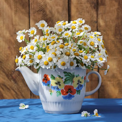 Bunch of daisies in a teapot. Summer still life.