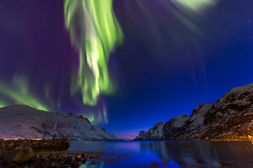 Fototapeta na wymiar The polar lights in Norway . Ersfjord.Tromso