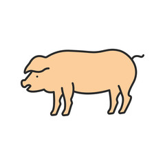 Pig color icon