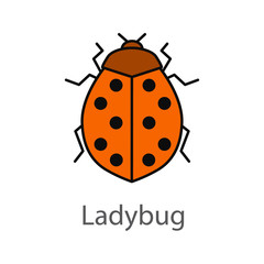 Ladybug color icon