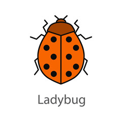 Obraz premium Ladybug color icon