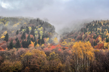 Teberda Reserve (Тебердинский заповедник)