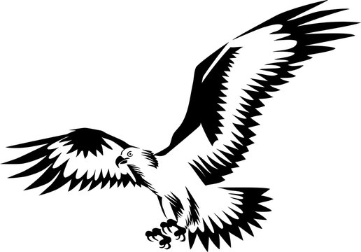 Eagle flying - stylized vector illustration