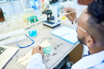 High angle portrait of young Middle-Eastern scientist working with petri dish studying bacteria in modern medical laboratory, copy space