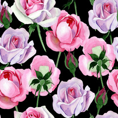 Wildflower tender pink rose flower pattern in a watercolor style. Full name of the plant: tender pink rose, hulthemia. Aquarelle wild flower for background, texture, wrapper pattern, frame or border.