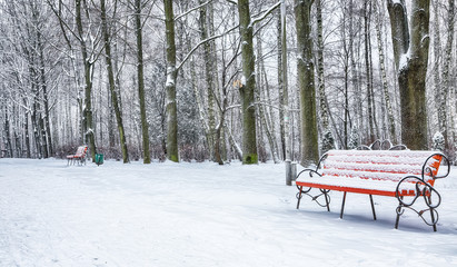 Park bench and trees covered by heavy snow