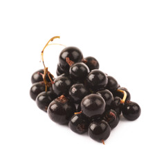 Pile of black currant berries isolated