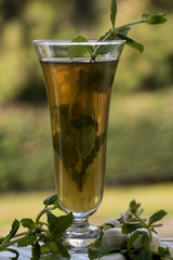 ein Glas kalter Pfefferminztee mit Minzeblättern im Garten