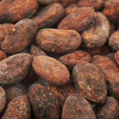 Cocoa beans background composition