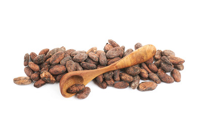 Line of cocoa beans isolated