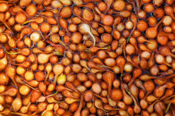 large amount of onions in water