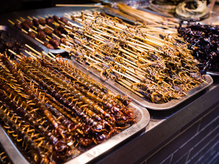 Insect skewers in China