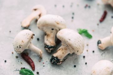 Mushroom champignon with spices