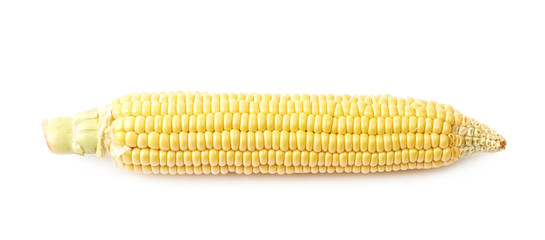 Ear of corn corncob isolated