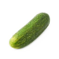 Fresh green cucumber isolated