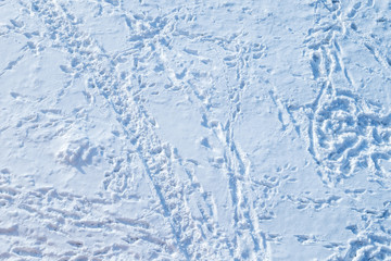 Fototapeta na wymiar Snow background with many human, birds and animal tracks and footsteps