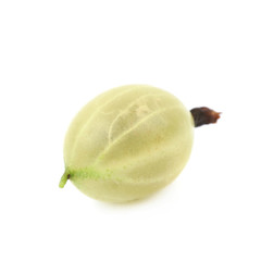 Single gooseberry isolated