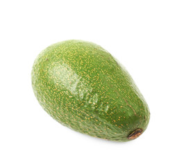 Avocado fruit isolated
