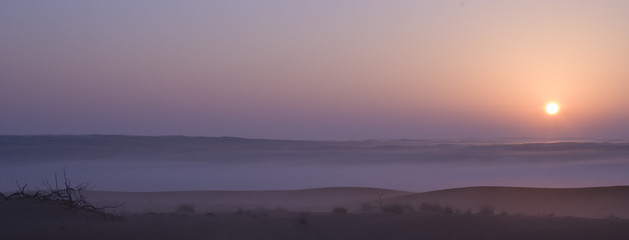 Alba sul deserto