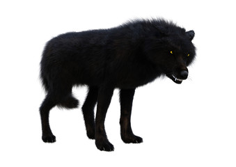 3D Rendering Black Wolf on White