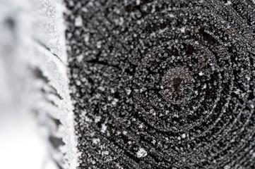 Frozen black painted pine pile close up macro shot in a cold January day.